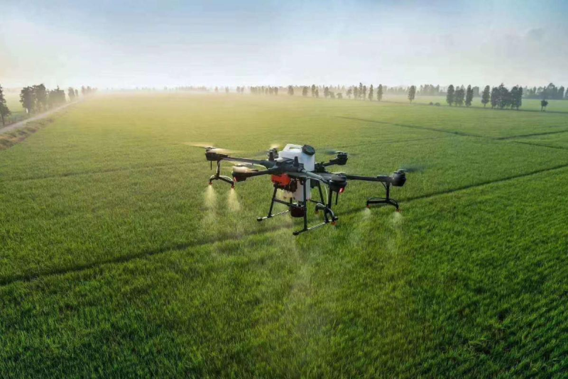 1704626031720201.png e626df39fac8425db25d46a36b5f133f_19.png